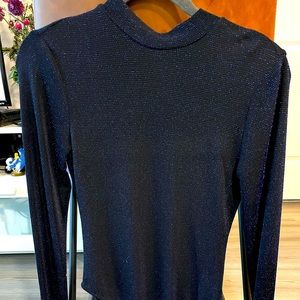 Sparkly blue body suit. Kinda see thru, dressy, night out on the town!